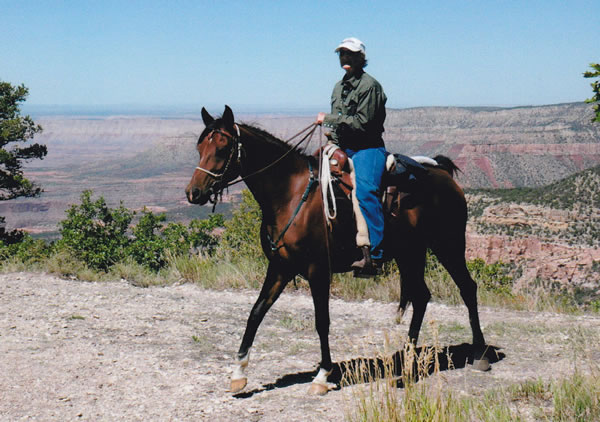 carey and khandy khiss grand canyon